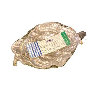 ‎Akcam Coastal Collection Outdoor Living seashell platters NWT